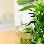 Mola Apartments-ruhrnahes Mit Balkon & Parkplatz Im Herzen Von Schwerte-4p