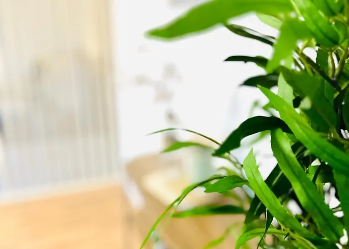 Mola Apartments-ruhrnahes Mit Balkon & Parkplatz Im Herzen Von Schwerte-4p